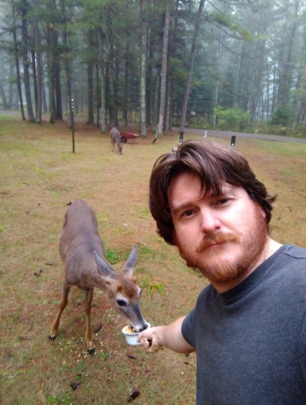 Shaun Lally